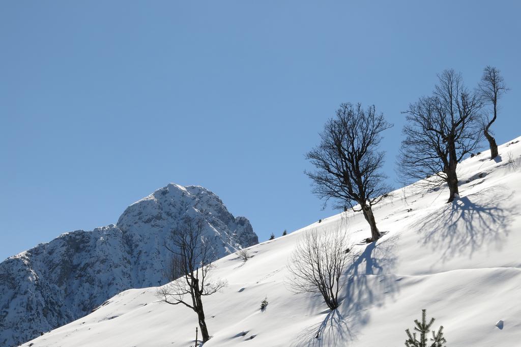 Ferienwohnung Kainer Zell am Ziller Ngoại thất bức ảnh